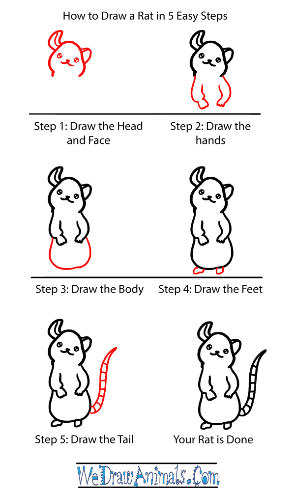 How to Draw a Baby Rat - Step-by-Step Tutorial