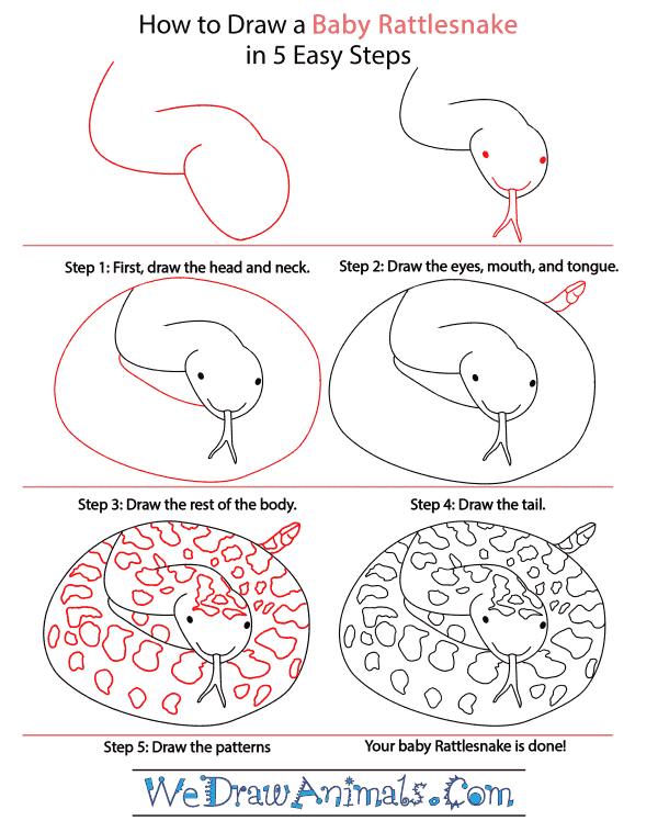 How to Draw a Baby Rattlesnake - Step-by-Step Tutorial