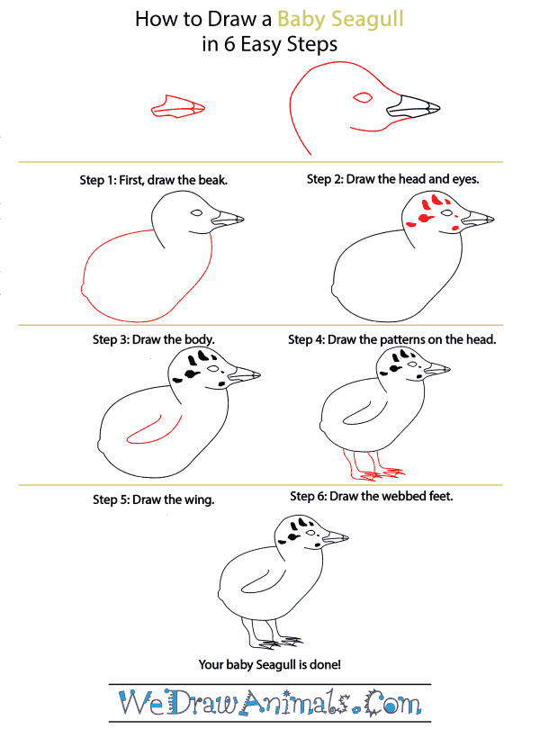 How to Draw a Baby Seagull - Step-by-Step Tutorial