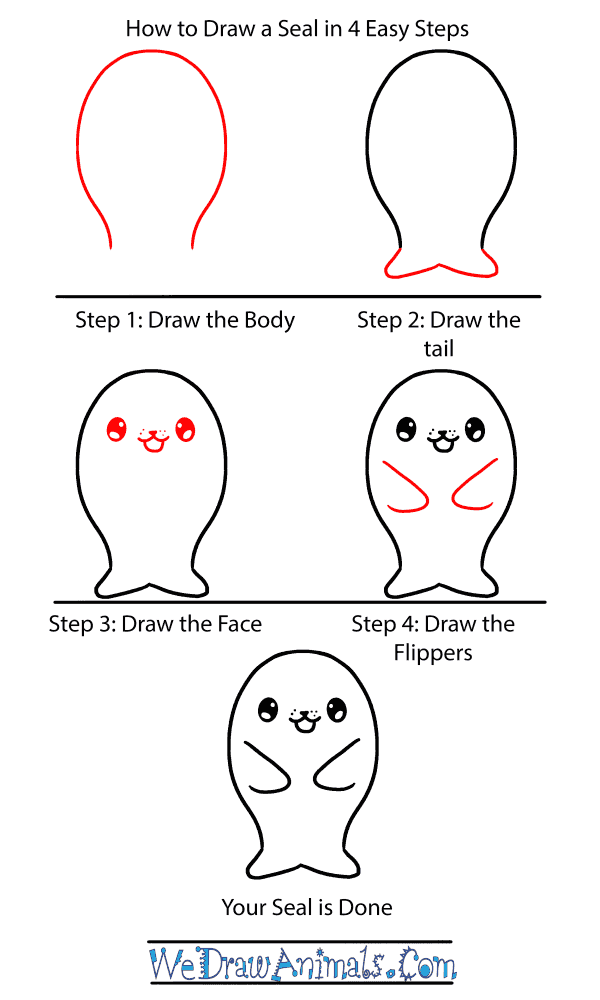 How to Draw a Baby Seal - Step-by-Step Tutorial