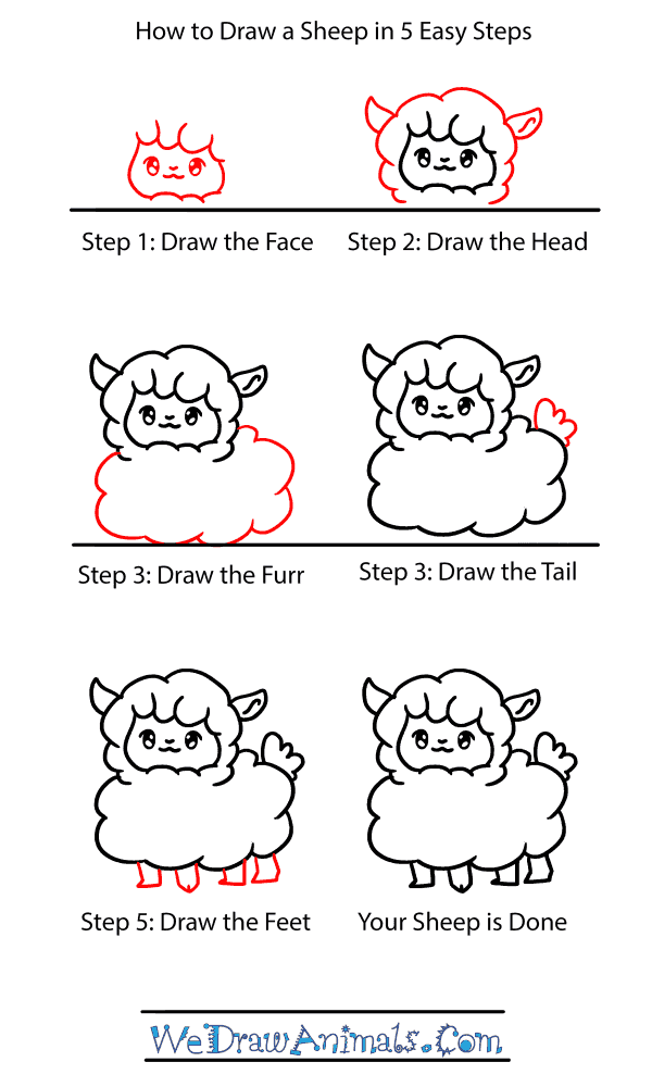 How to Draw a Baby Sheep - Step-by-Step Tutorial