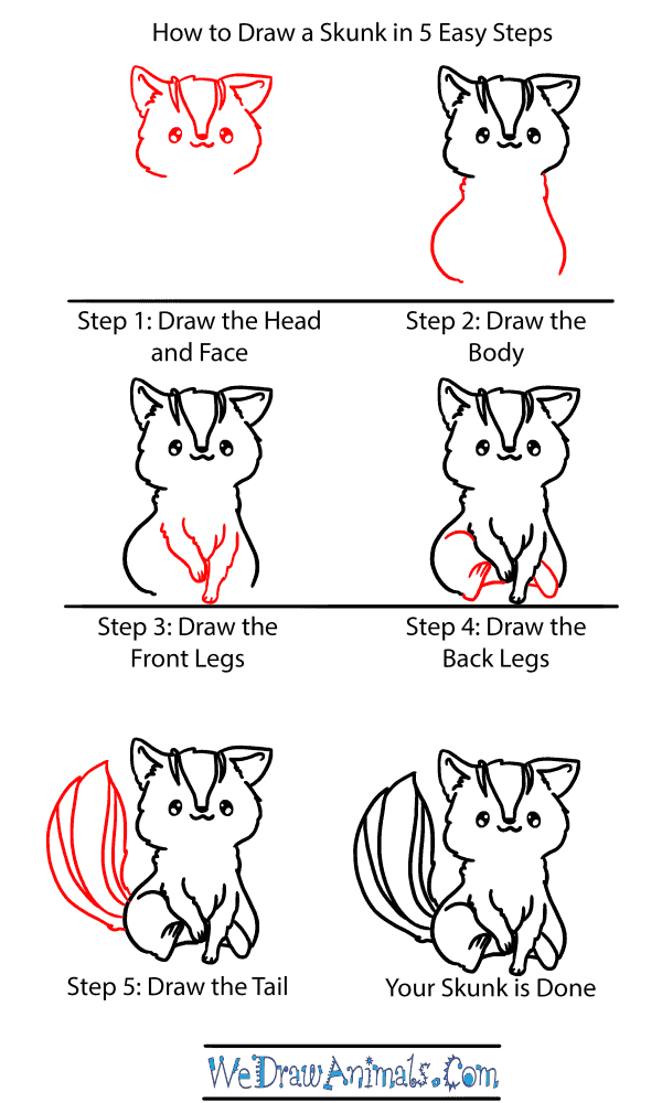 How to Draw a Baby Skunk - Step-by-Step Tutorial