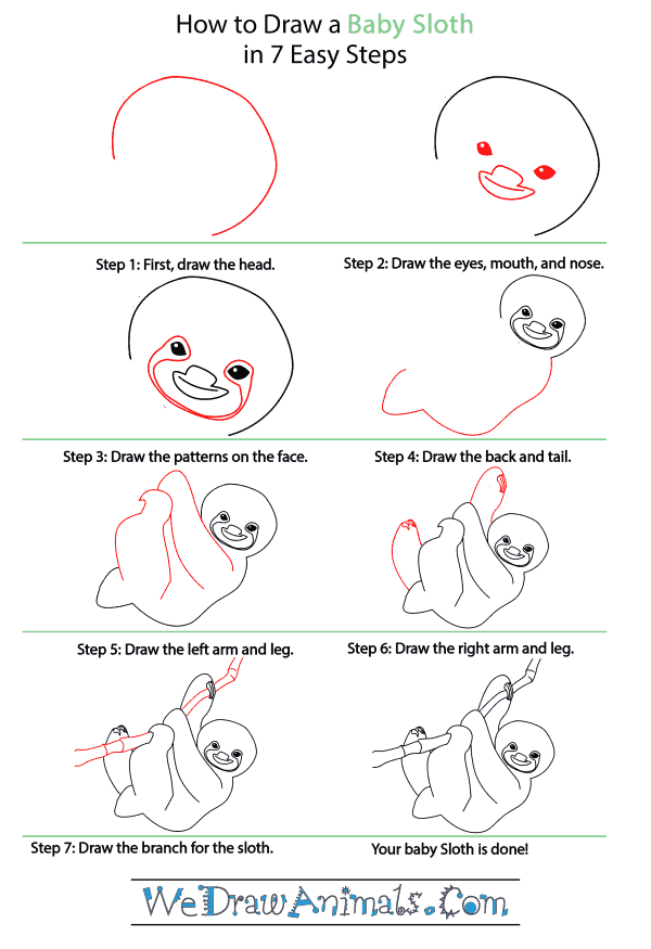 How to Draw a Baby Sloth - Step-by-Step Tutorial