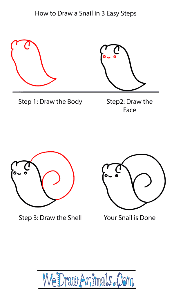 How to Draw a Baby Snail - Step-by-Step Tutorial