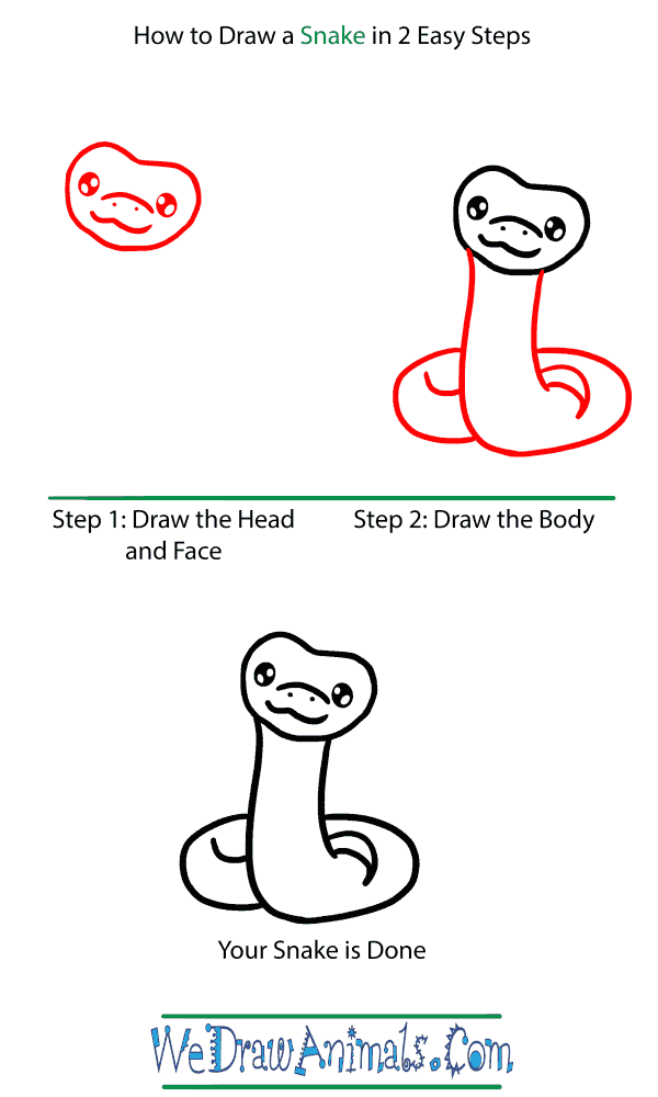 How to Draw a Baby Snake - Step-by-Step Tutorial