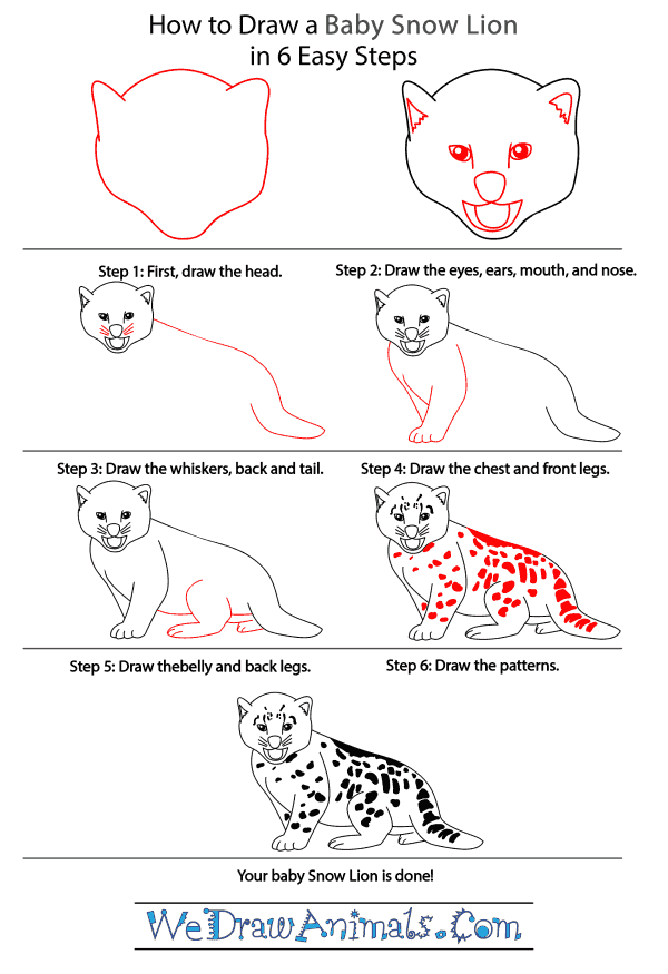 How to Draw a Baby Snow Leopard - Step-by-Step Tutorial