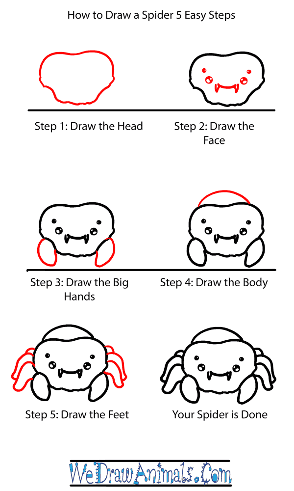 How to Draw a Baby Spider - Step-by-Step Tutorial