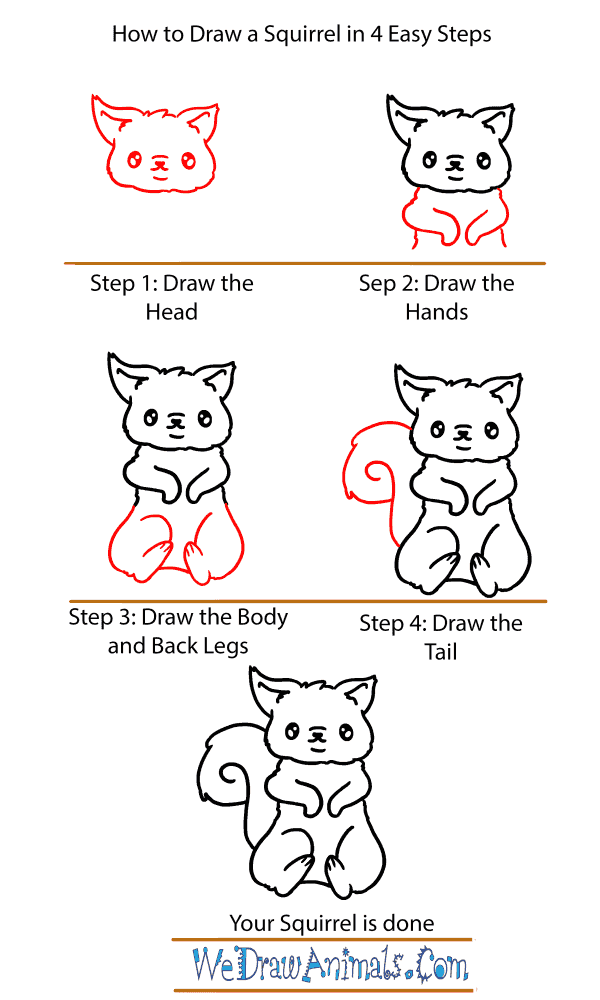 How to Draw a Baby Squirrel - Step-by-Step Tutorial