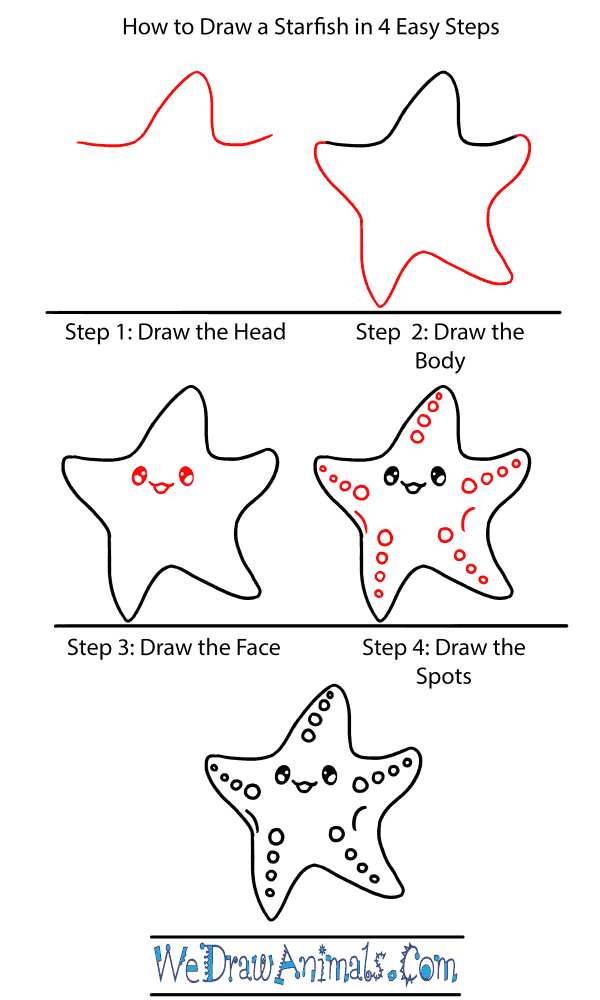 How to Draw a Baby Starfish - Step-by-Step Tutorial