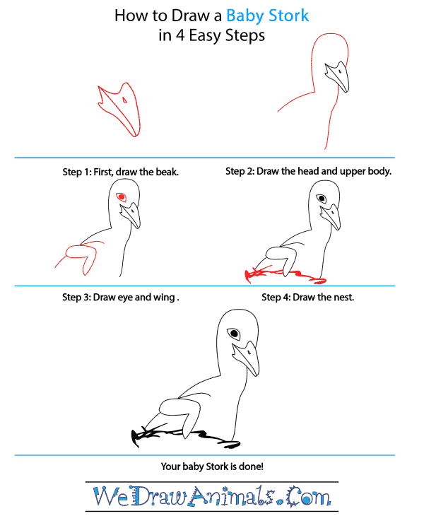 How to Draw a Baby Stork - Step-by-Step Tutorial
