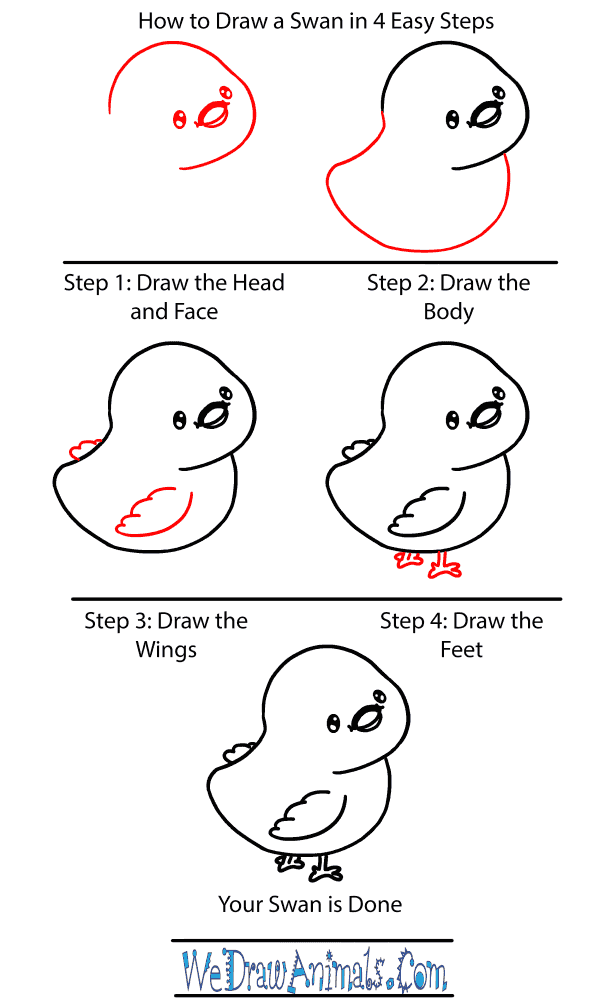 How to Draw a Baby Swan - Step-by-Step Tutorial