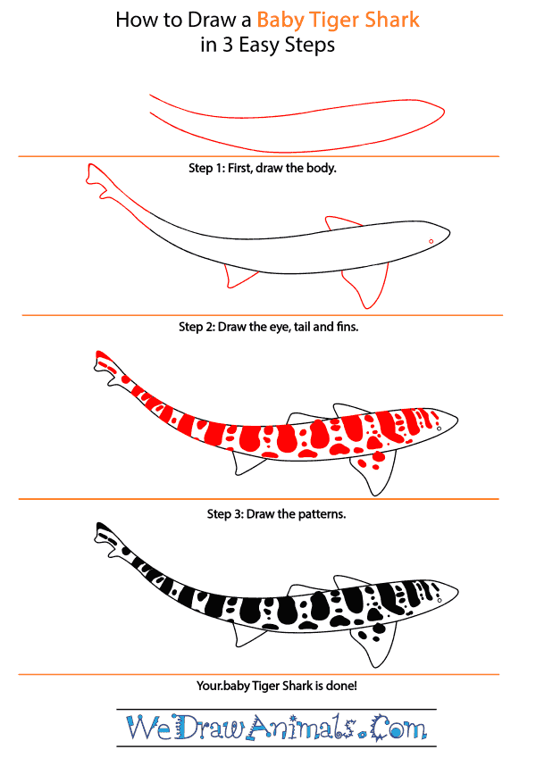 How to Draw a Baby Tiger Shark - Step-by-Step Tutorial