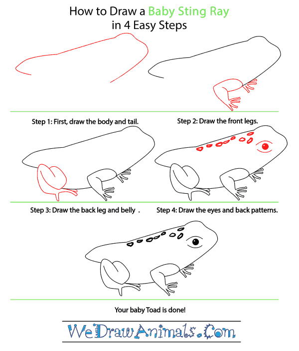 How to Draw a Baby Toad - Step-by-Step Tutorial
