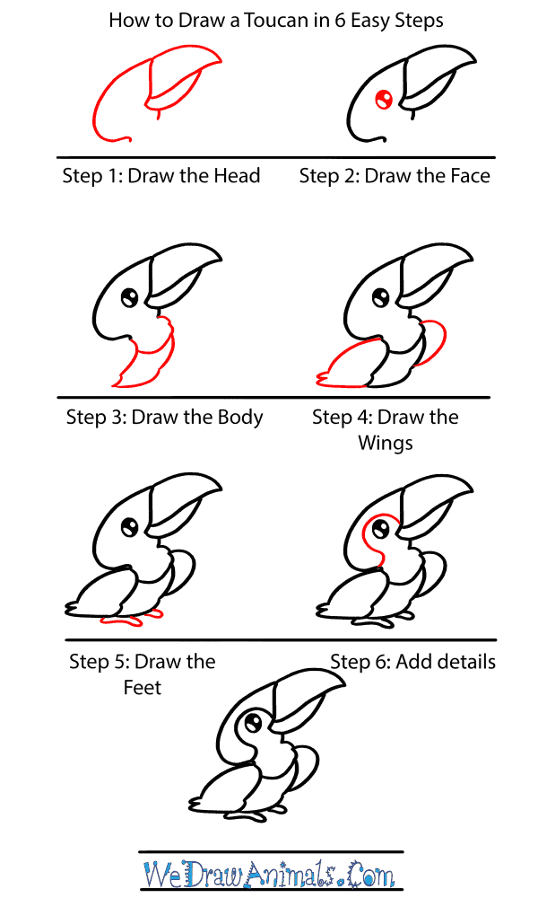 How to Draw a Baby Toucan - Step-by-Step Tutorial