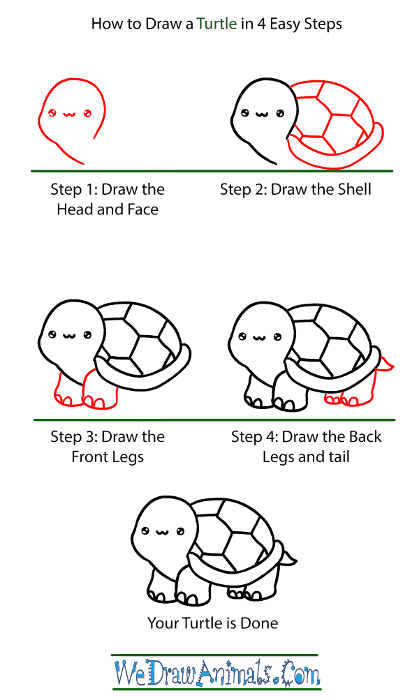 How to Draw a Baby Turtle - Step-by-Step Tutorial