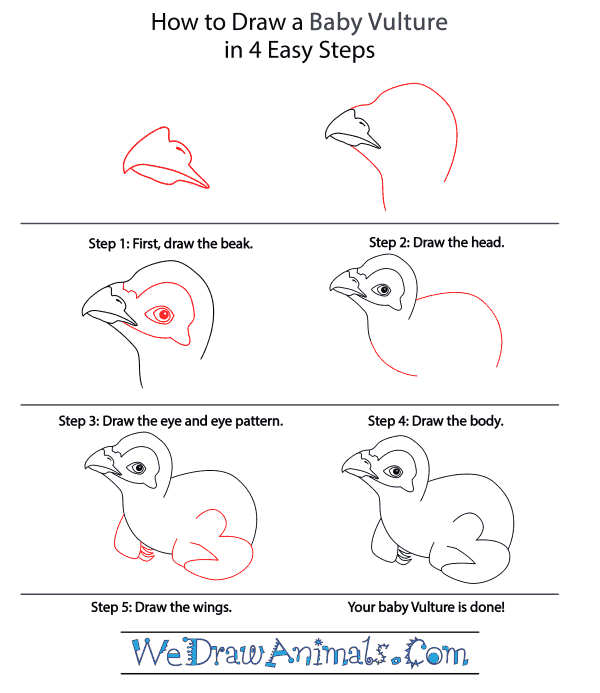 How to Draw a Baby Vulture - Step-by-Step Tutorial