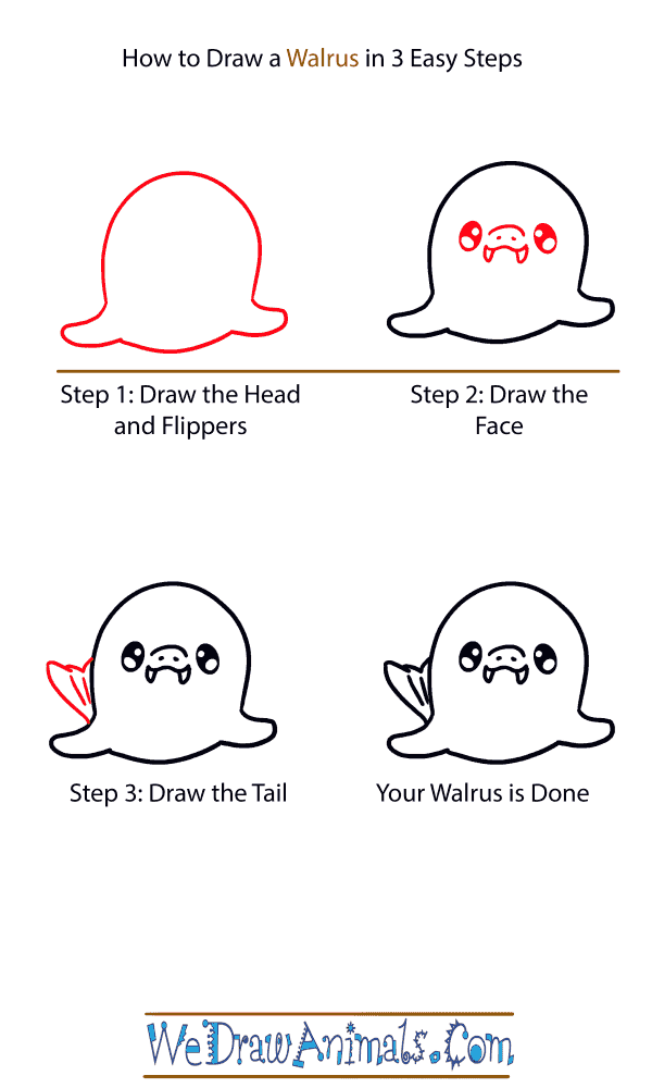 How to Draw a Baby Walrus - Step-by-Step Tutorial