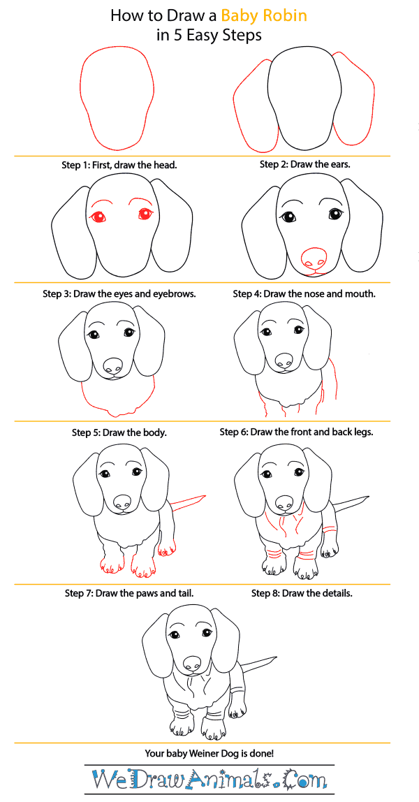 How to Draw a Baby Wiener Dog - Step-by-Step Tutorial