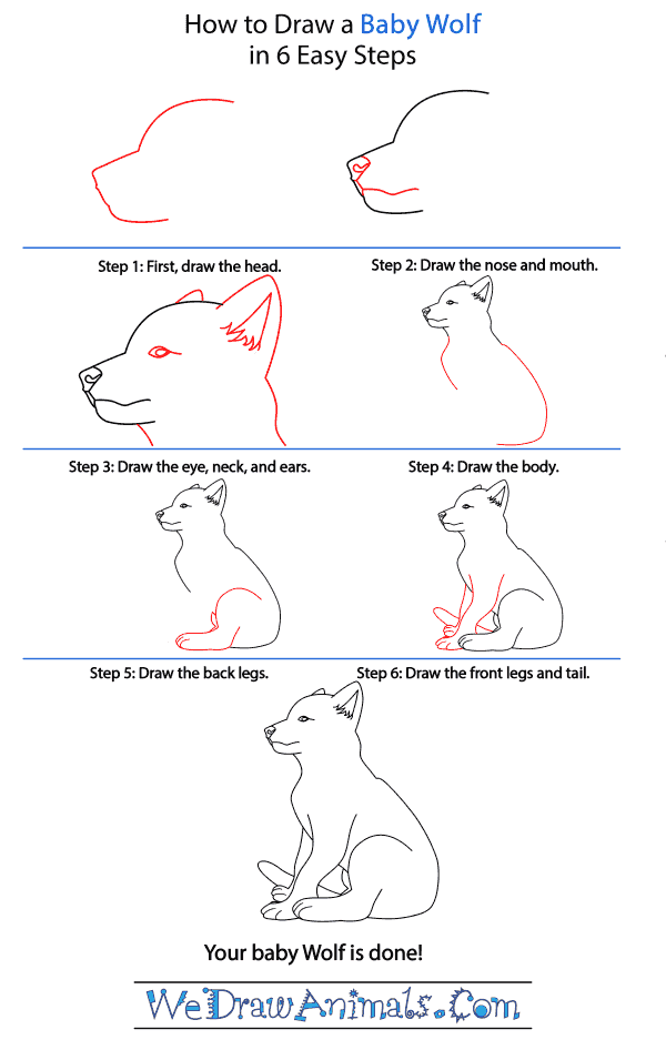 How to Draw a Baby Wolf - Step-by-Step Tutorial