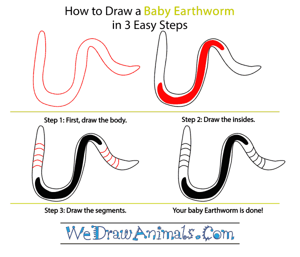 How to Draw a Baby Worm - Step-by-Step Tutorial