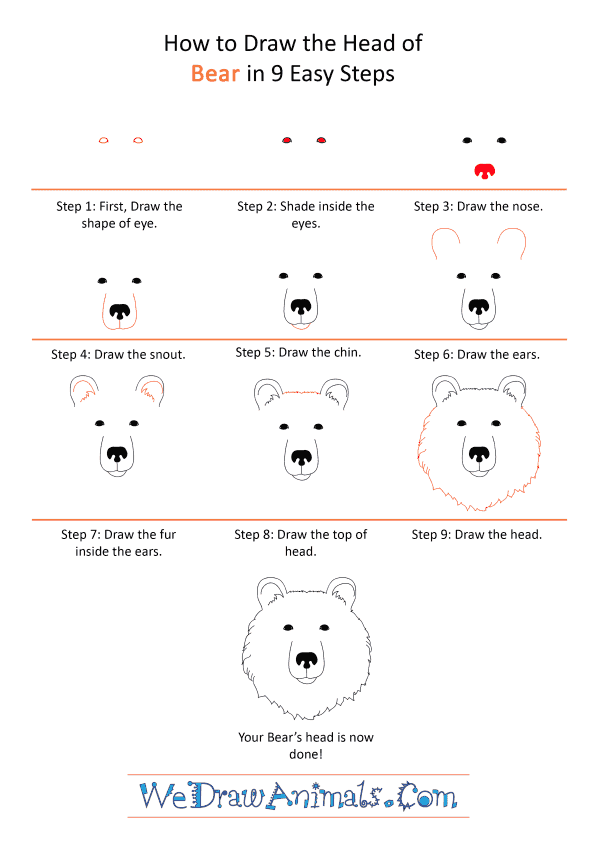 How to Draw a Bear Face - Step-by-Step Tutorial