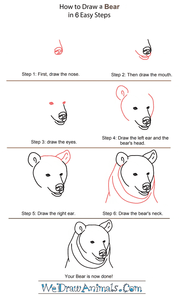 How to Draw a Bear Head - Step-by-Step Tutorial