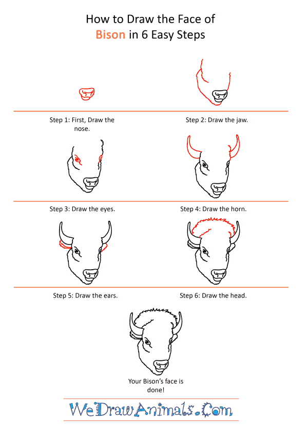 How to Draw a Bison Face - Step-by-Step Tutorial