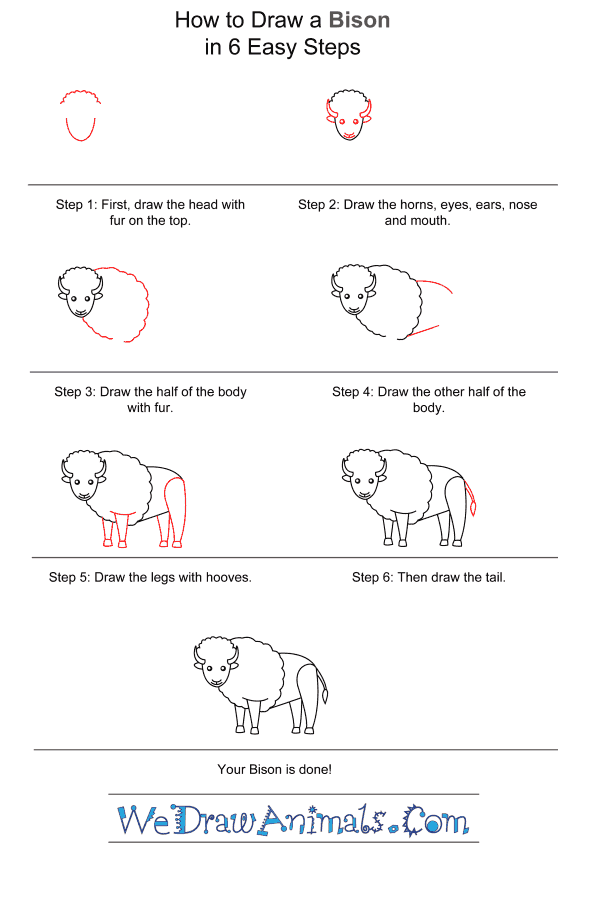 How to Draw a Bison for Kids - Step-by-Step Tutorial