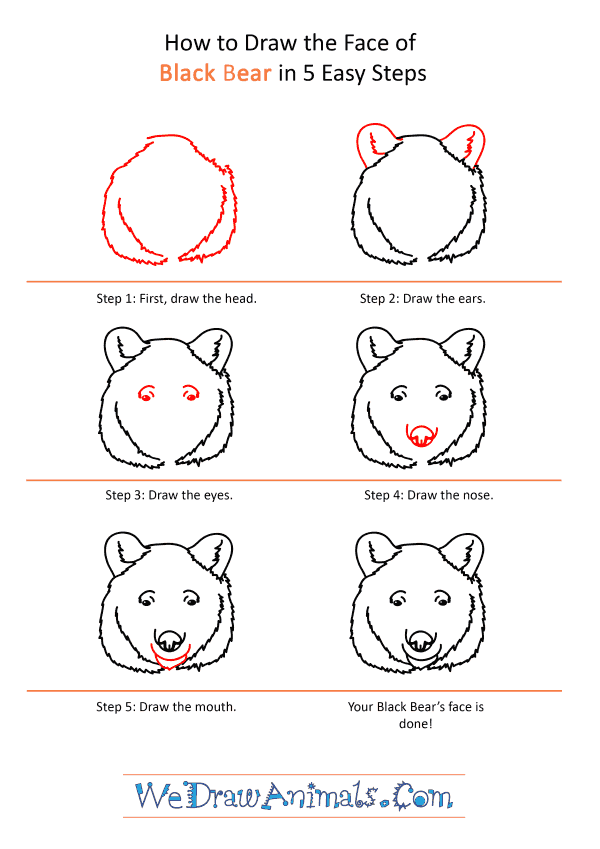 How to Draw a Black Bear Face - Step-by-Step Tutorial