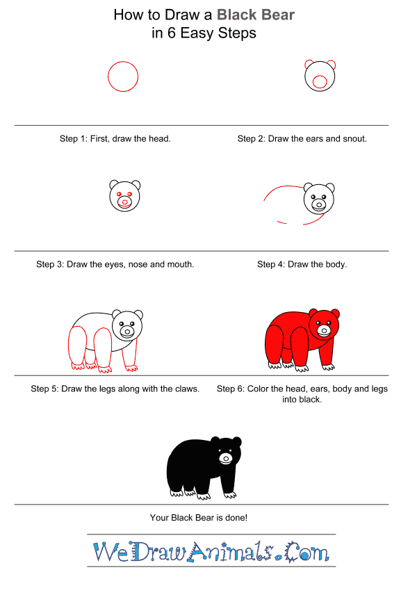 How to Draw a Black Bear for Kids - Step-by-Step Tutorial