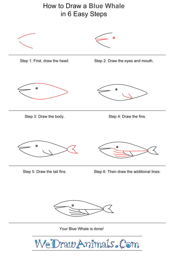 How to Draw a Blue Whale for Kids - Step-by-Step Tutorial