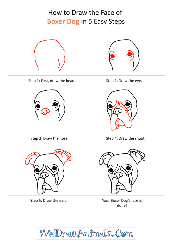 How to Draw a Boxer Dog Face - Step-by-Step Tutorial