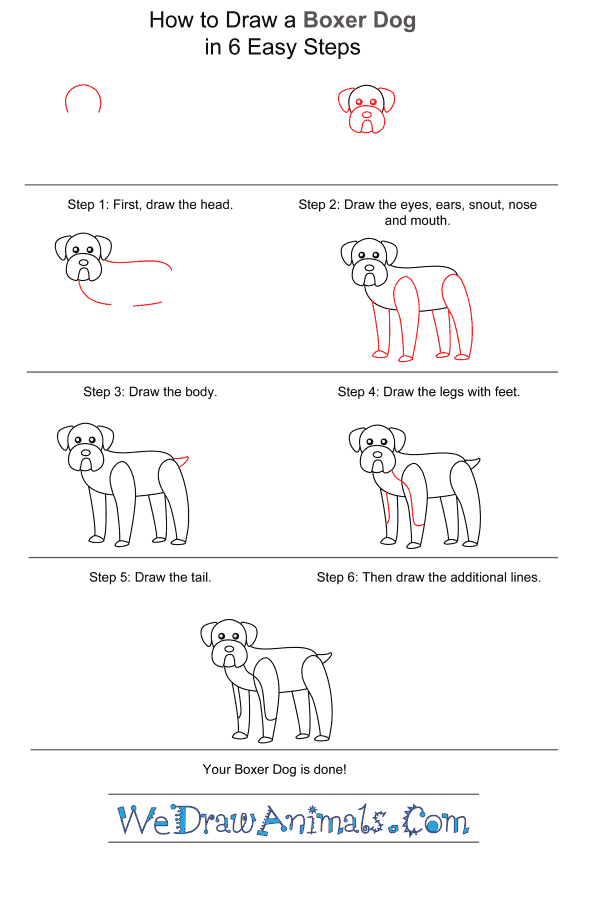 How to Draw a Boxer Dog for Kids - Step-by-Step Tutorial