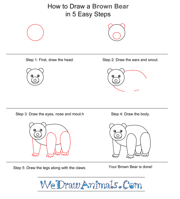 How To Draw A Simple Brown Bear For Kids