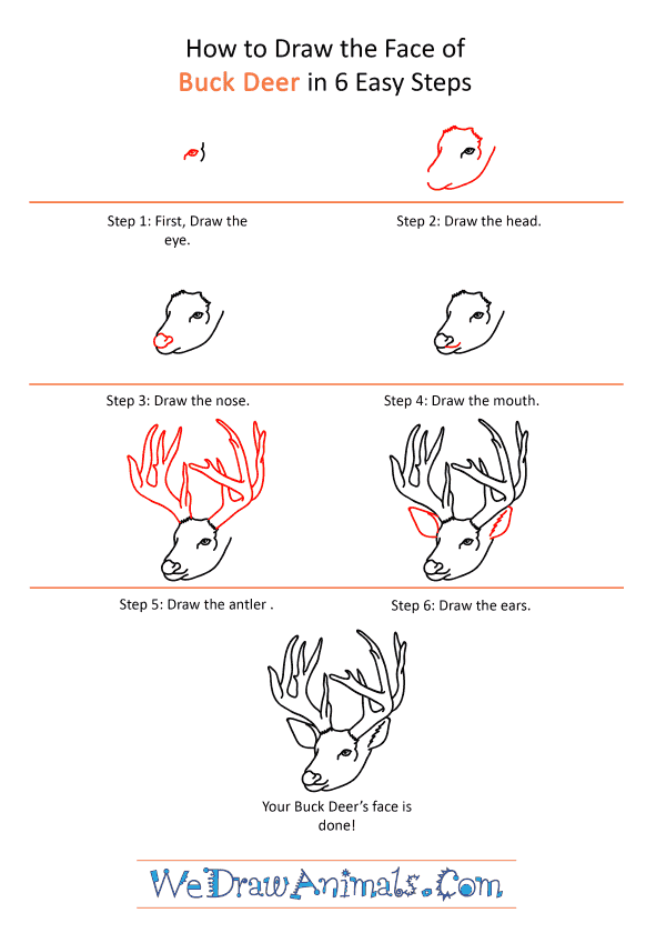 How to Draw a Buck Deer Face - Step-by-Step Tutorial