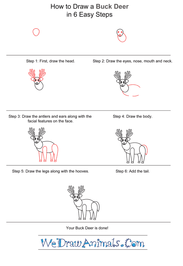How to Draw a Buck Deer for Kids - Step-by-Step Tutorial