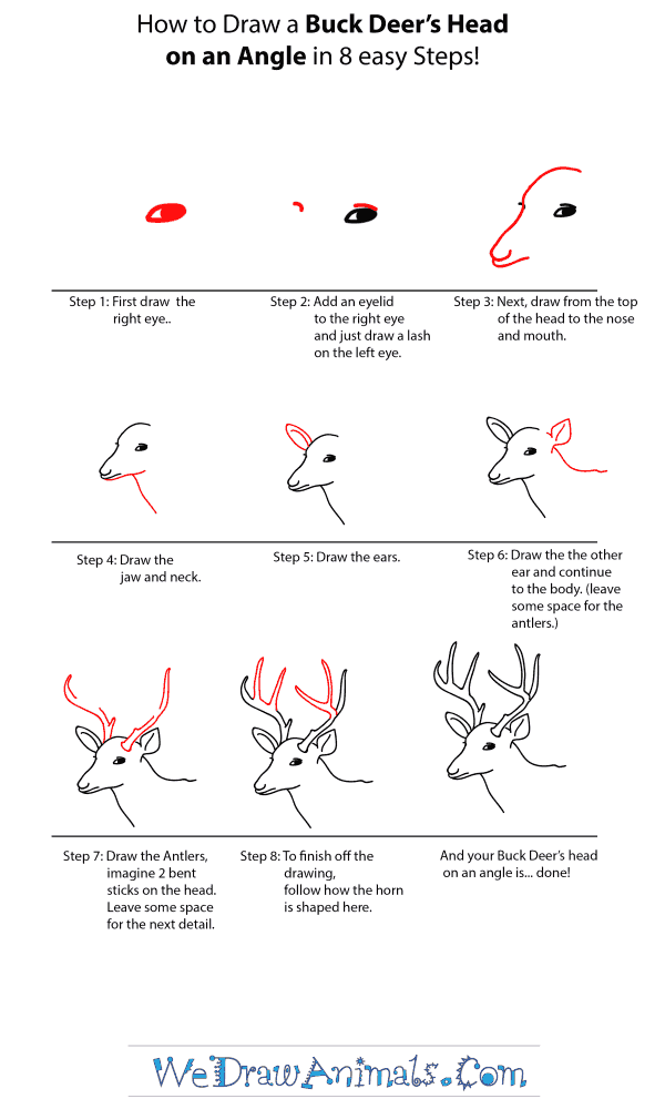 How to Draw a Buck Deer Head - Step-by-Step Tutorial