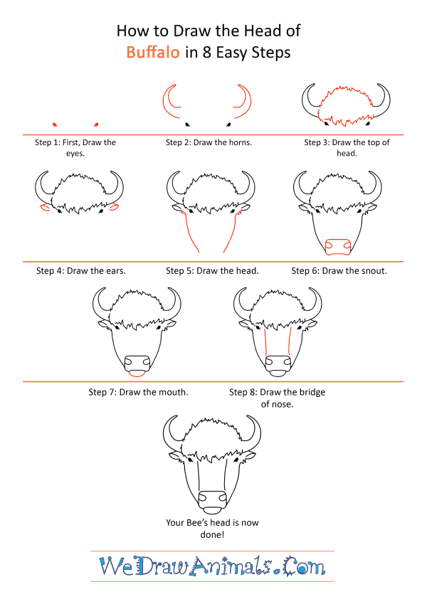 How to Draw a Buffalo Face - Step-by-Step Tutorial