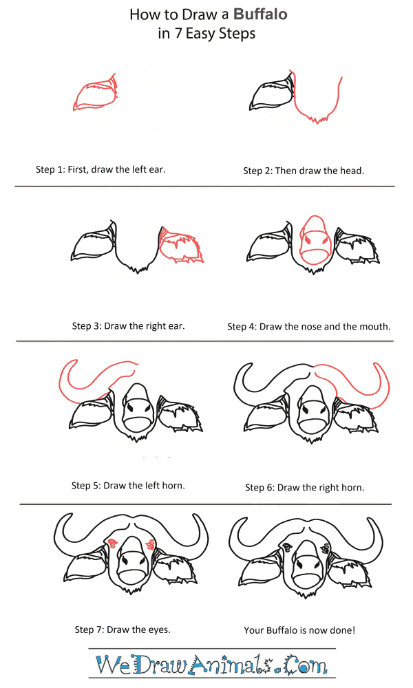 How to Draw a Buffalo Head - Step-by-Step Tutorial