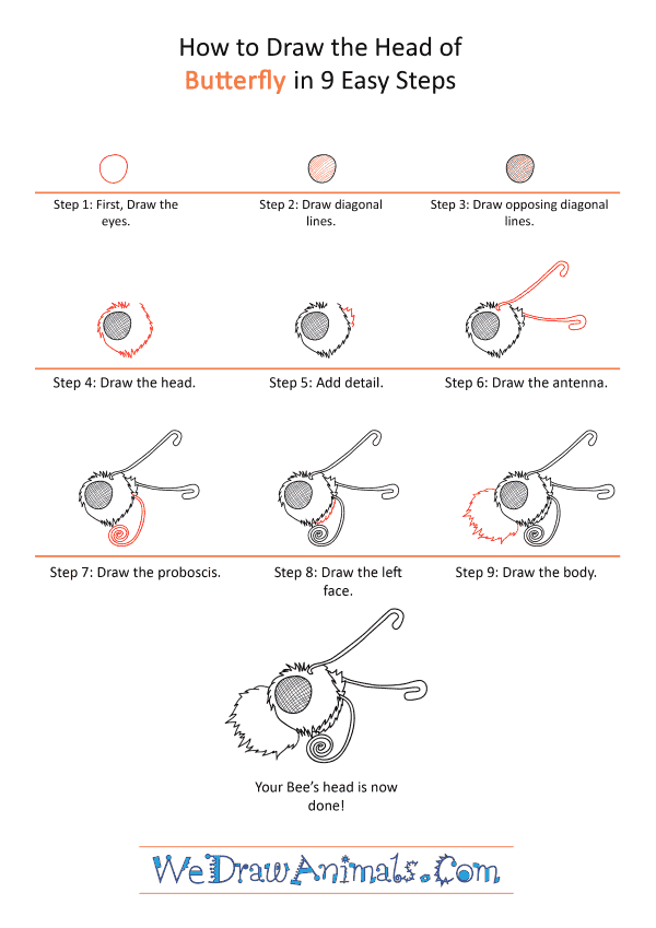 How to Draw a Butterfly Face - Step-by-Step Tutorial