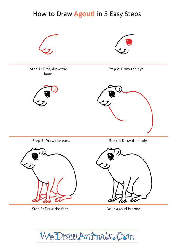 How to Draw a Cartoon Agouti - Step-by-Step Tutorial