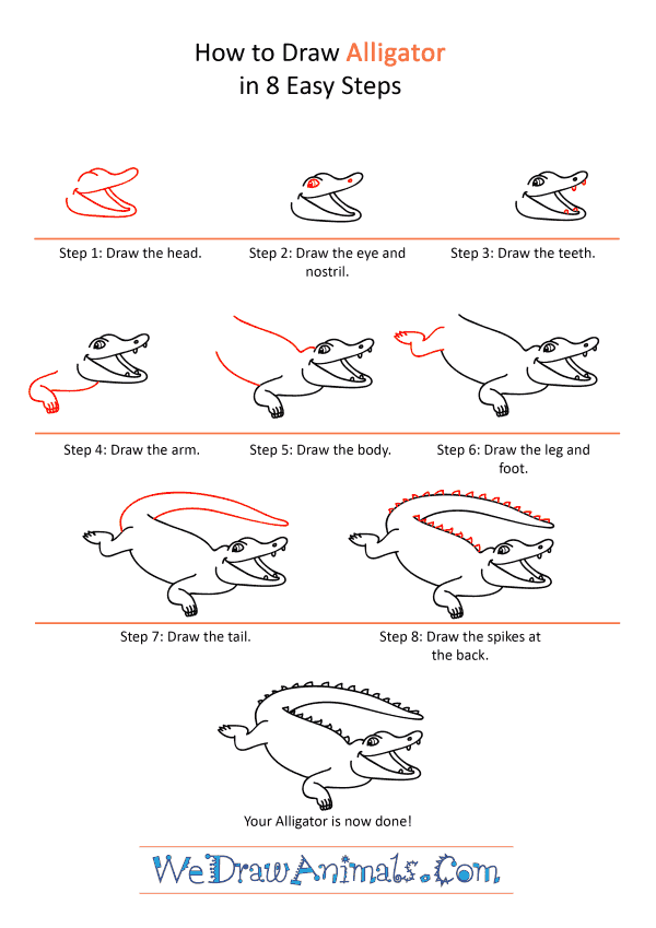 How to Draw a Cartoon Alligator - Step-by-Step Tutorial