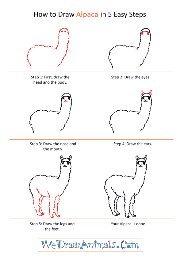 How to Draw a Cartoon Alpaca - Step-by-Step Tutorial