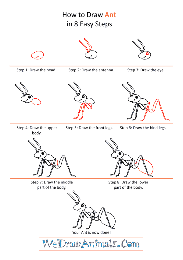 How to Draw a Cartoon Ant - Step-by-Step Tutorial