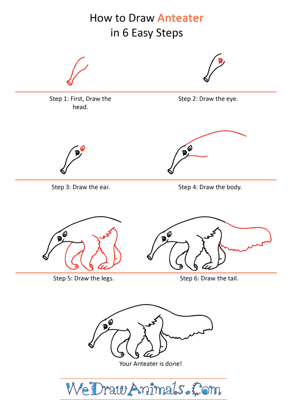 How to Draw a Cartoon Anteater - Step-by-Step Tutorial