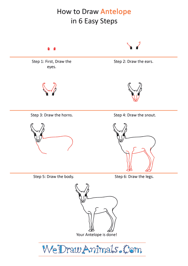 How to Draw a Cartoon Antelope - Step-by-Step Tutorial