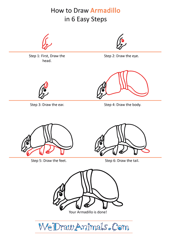 How to Draw a Cartoon Armadillo - Step-by-Step Tutorial