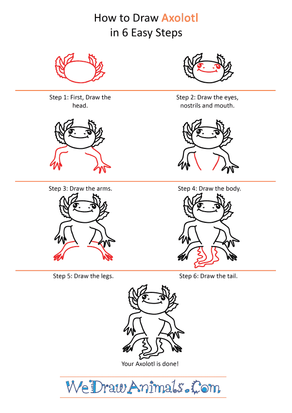 How to Draw a Cartoon Axolotl - Step-by-Step Tutorial