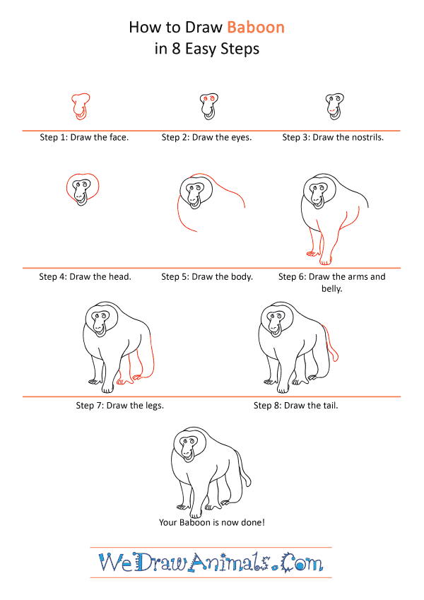 How to Draw a Cartoon Baboon - Step-by-Step Tutorial