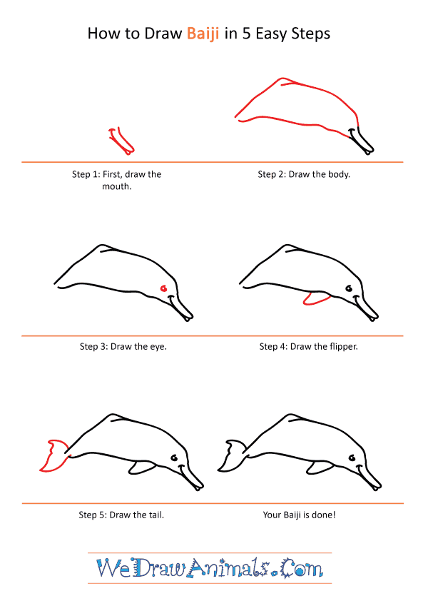 How to Draw a Cartoon Baiji - Step-by-Step Tutorial